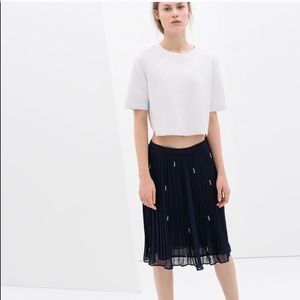 Zara embroidered skirt